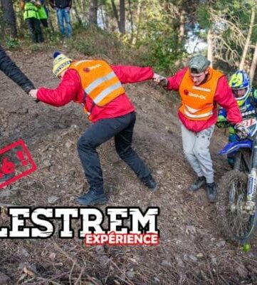 alestrem expérience