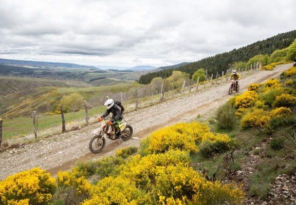 trèfle lozérien 2021