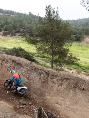 Triumph TF250-E et 450-E