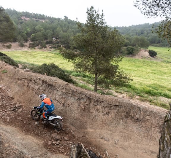 Triumph TF250-E et 450-E