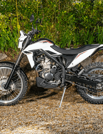 statique Beta Alp 4.0