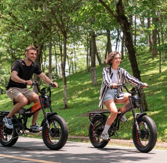 Lankeleisi X3000 Max