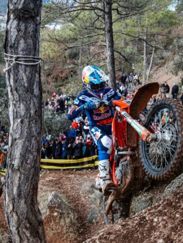 bassella race