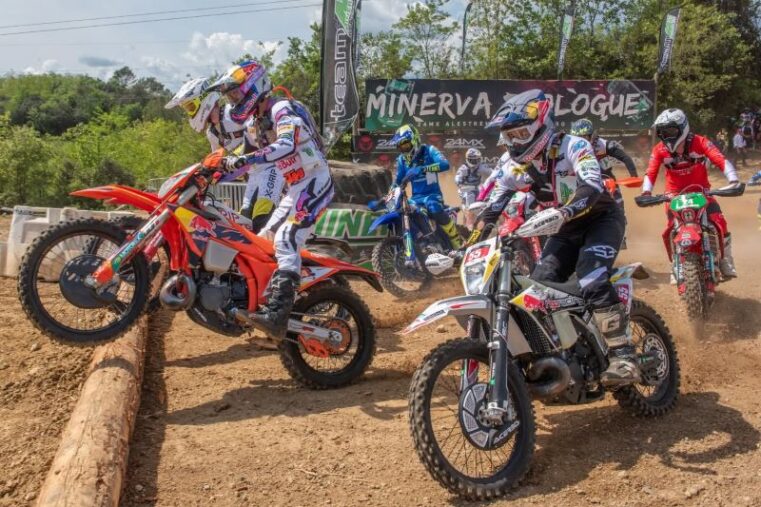 24mx alestrem