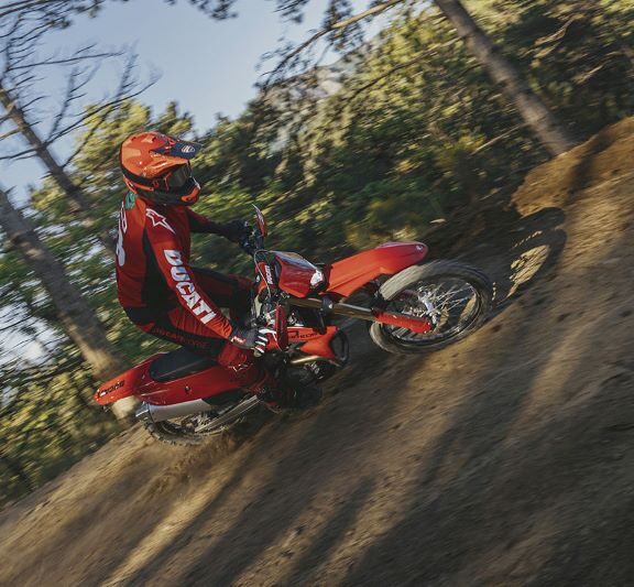 ducati desmo450 eds