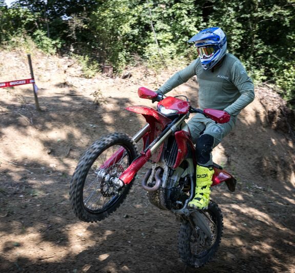 desmo450 eds